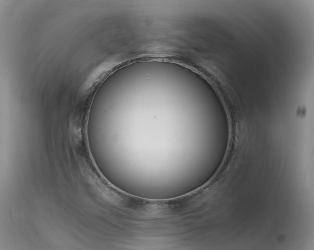 X0000113621451200909251155