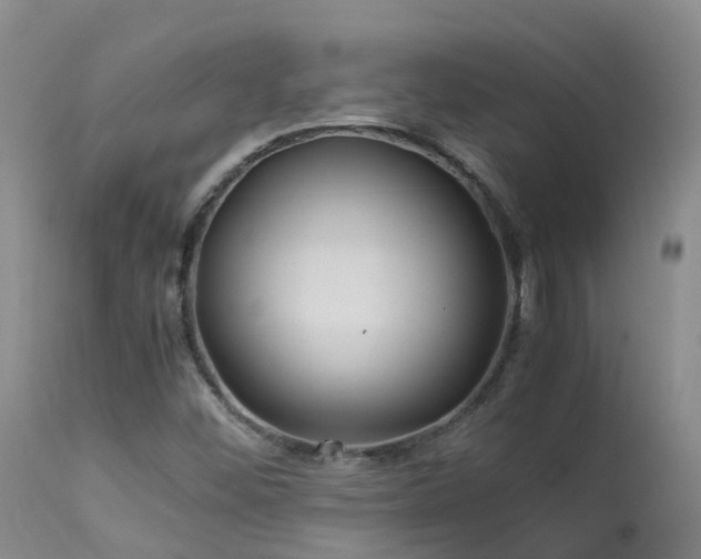 X0000113621452200909251155