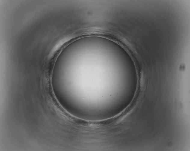 X0000113621453200909251155