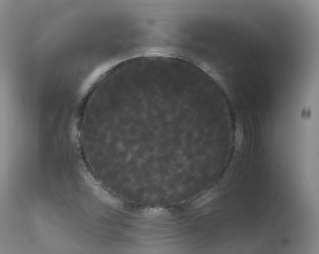 X0000113621454200909251155