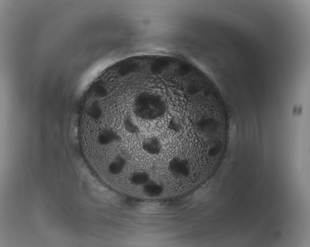 X0000113621455200909251155