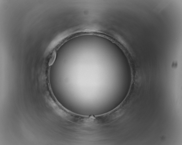 X0000113621456200909251155