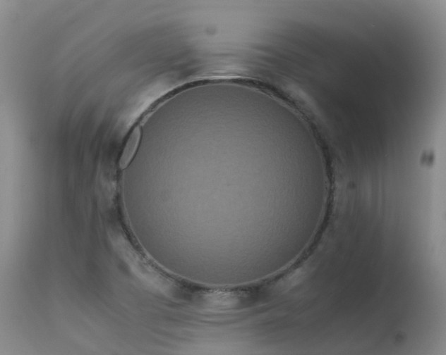 X0000113621457200909251155