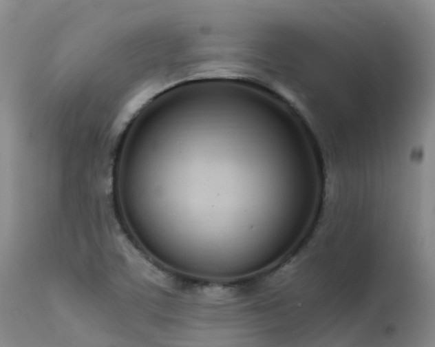 X0000113621459200909251155