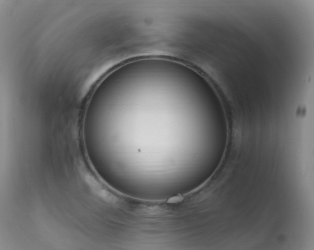 X0000113621460200909251155