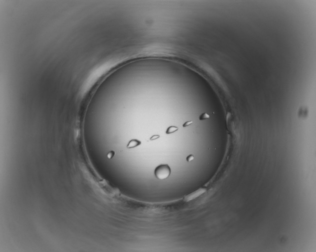 X0000113621461200909251155