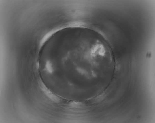 X0000113621462200909251155