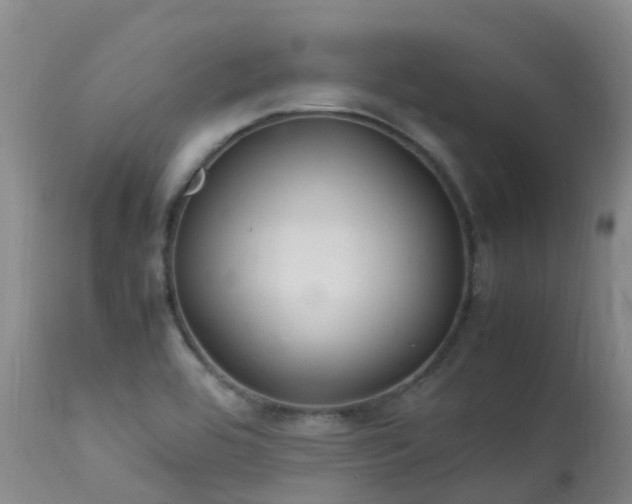 X0000113621464200909251155