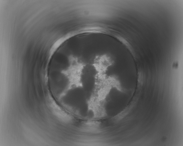 X0000113621466200909251155