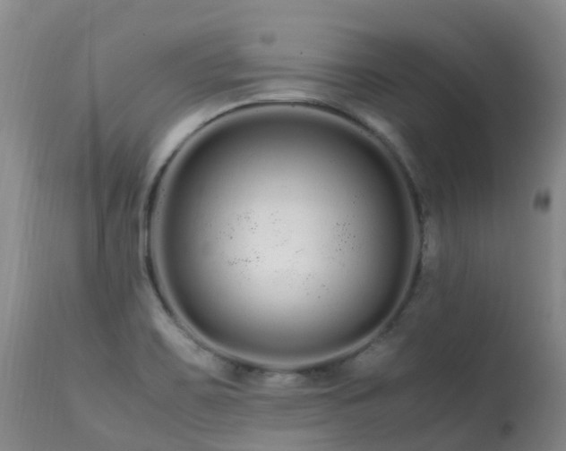 X0000113621467200909251155