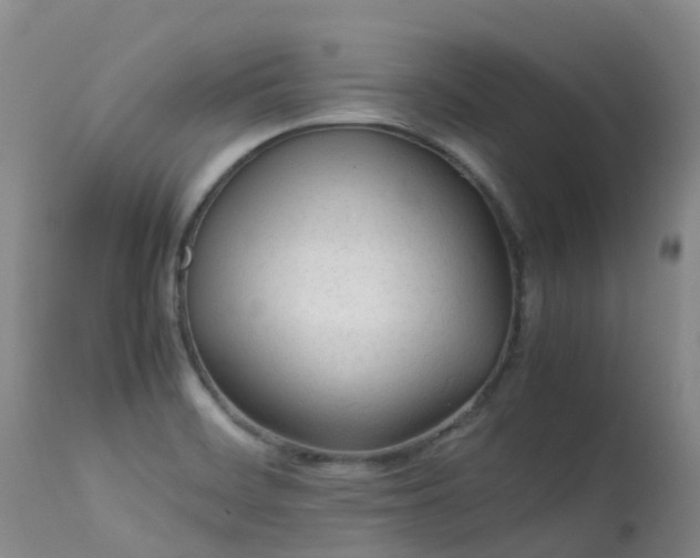 X0000113621468200909251155