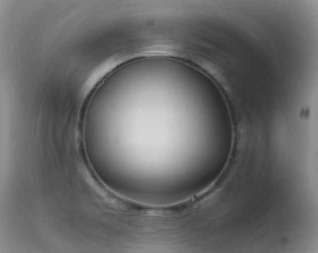 X0000113621469200909251155