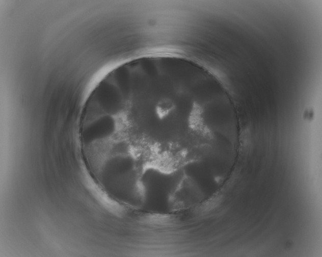 X0000113621470200909251155