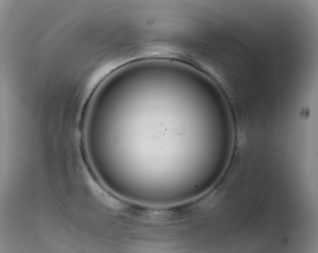 X0000113621471200909251155