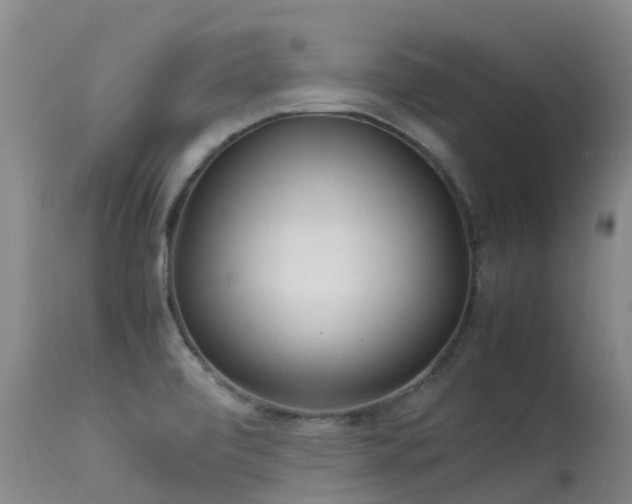 X0000113621472200909251155