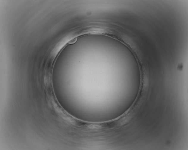 X0000113621473200909251155