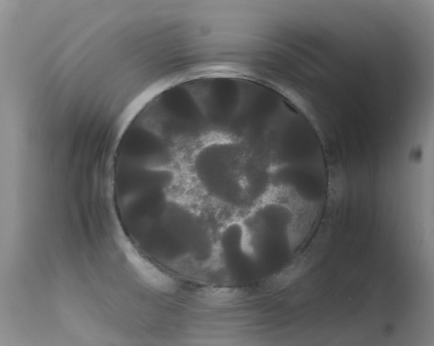 X0000113621474200909251155