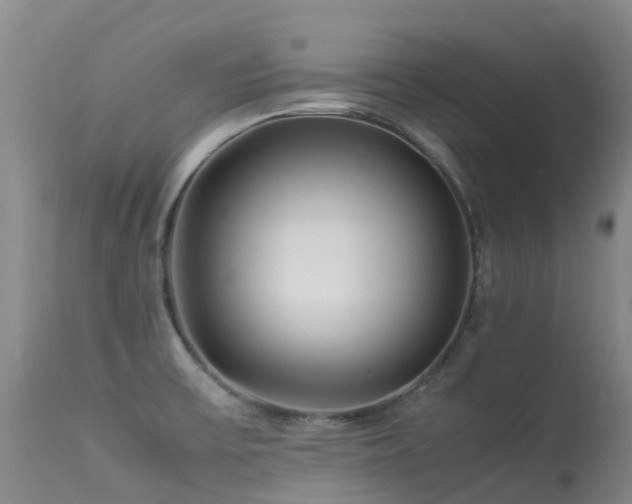 X0000113621475200909251155