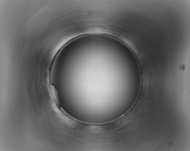 X0000113621476200909251155