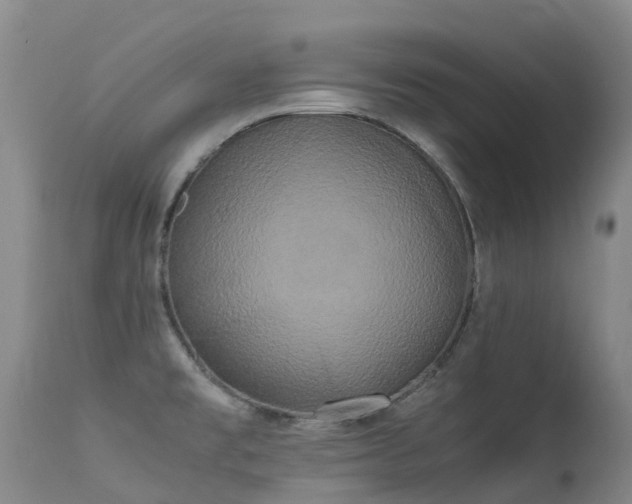 X0000113621477200909251155