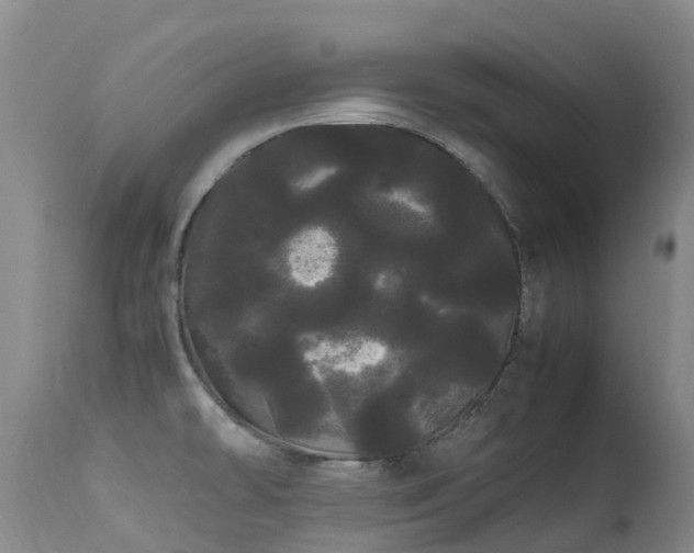 X0000113621478200909251155