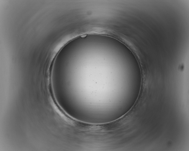 X0000113621479200909251155