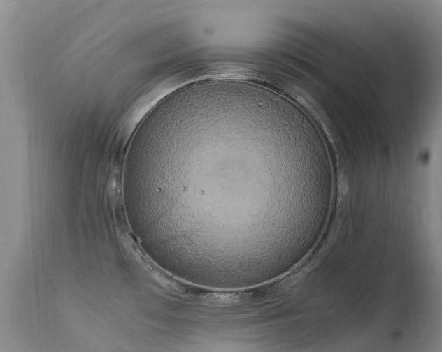 X0000113621481200909251154