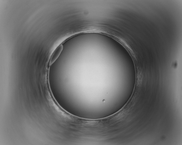 X0000113621484200909251154