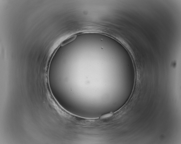 X0000113621485200909251154