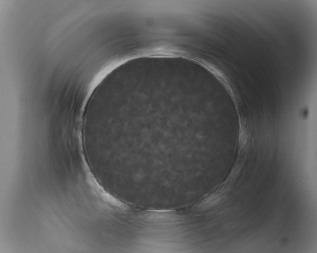 X0000113621486200909251154