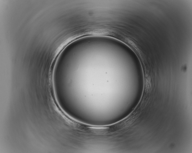 X0000113621487200909251154