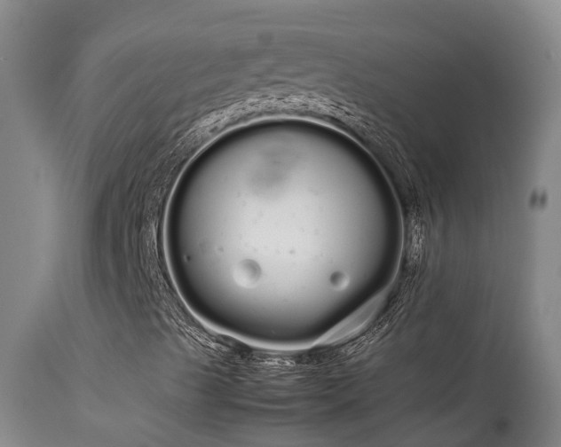 X0000113621489200909251153