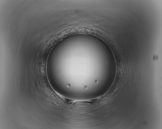 X0000113621490200909251153