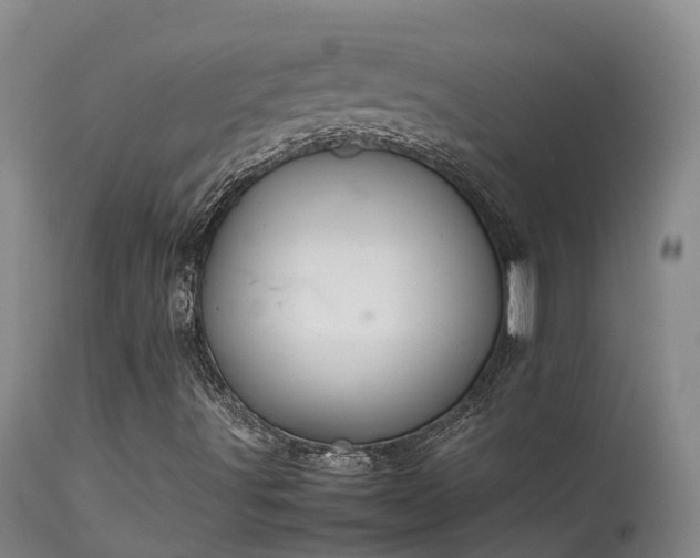 X0000113621491200909251153