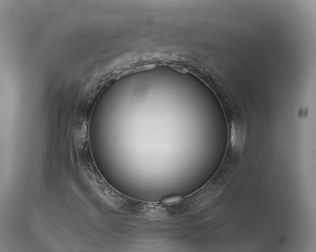 X0000113621492200909251153