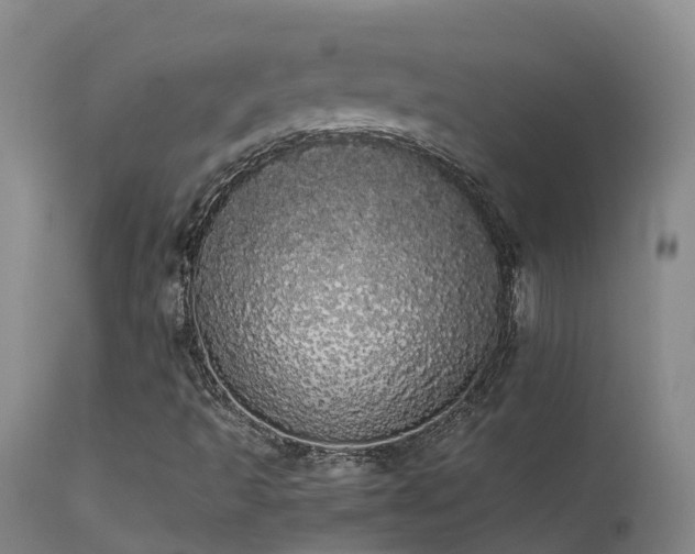 X0000113621493200909251154