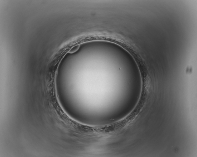 X0000113621494200909251154