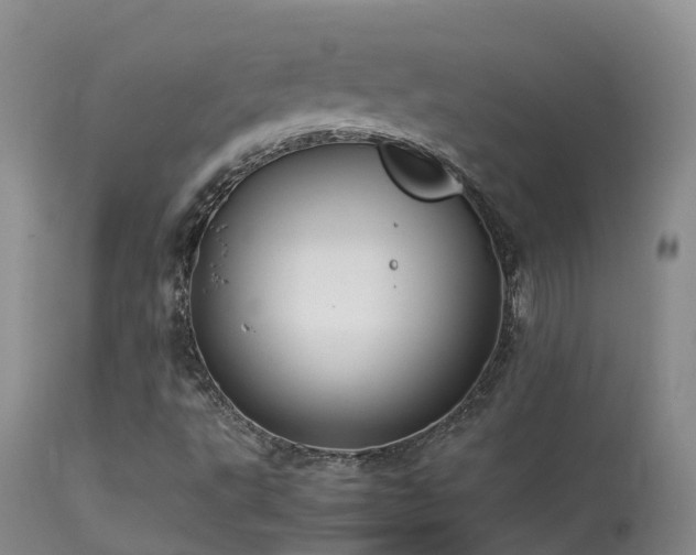 X0000113621495200909251154