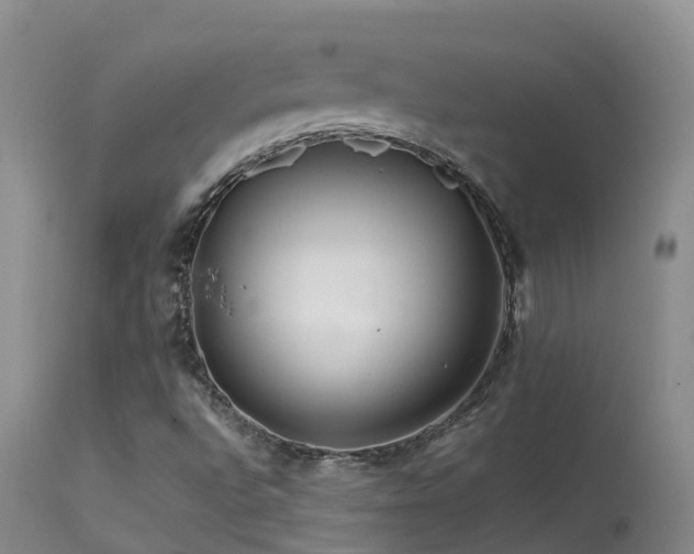 X0000113621496200909251154