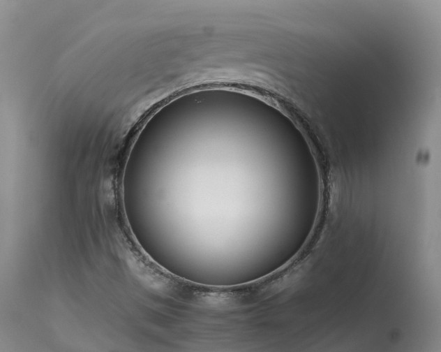 X0000113621497200909251154