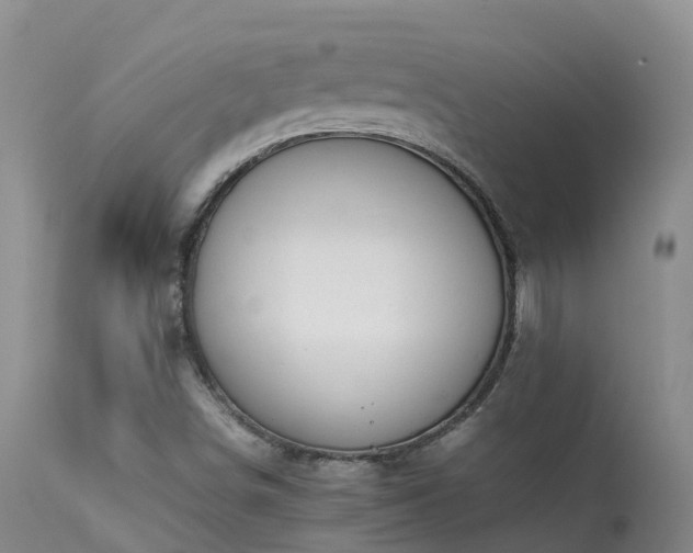 X0000113621498200909251154