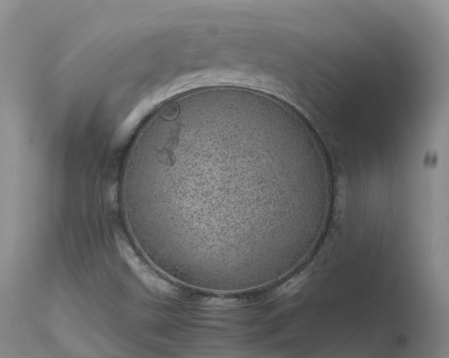 X0000113621499200909251154