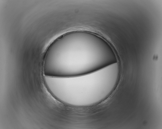 X0000113621500200909251154