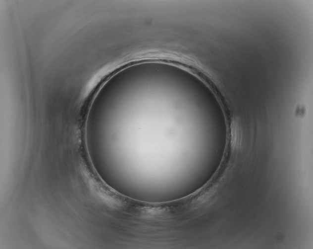 X0000113621501200909251154