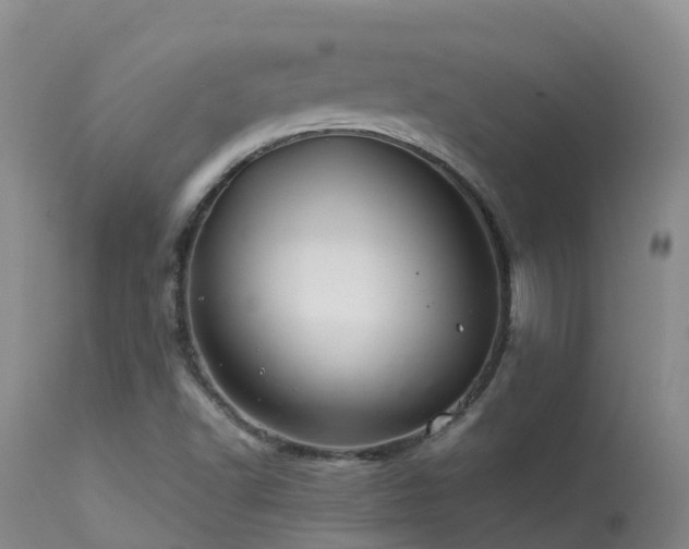 X0000113621502200909251154