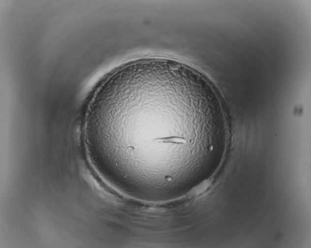 X0000113621503200909251154