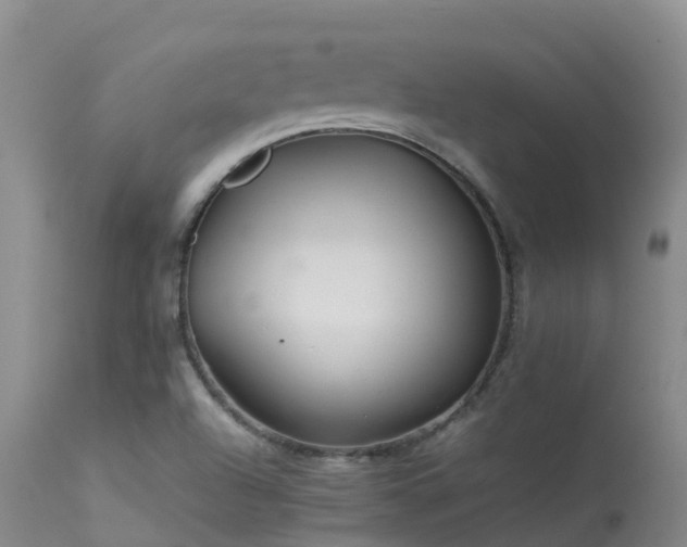 X0000113621504200909251154