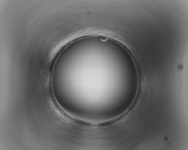 X0000113621507200909251154