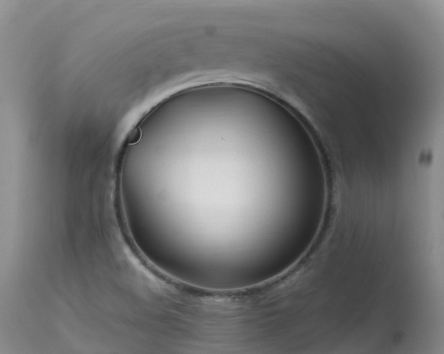 X0000113621508200909251154