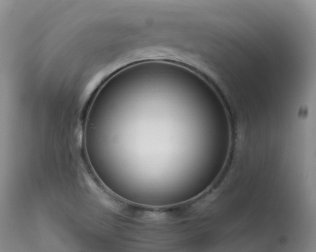 X0000113621509200909251154